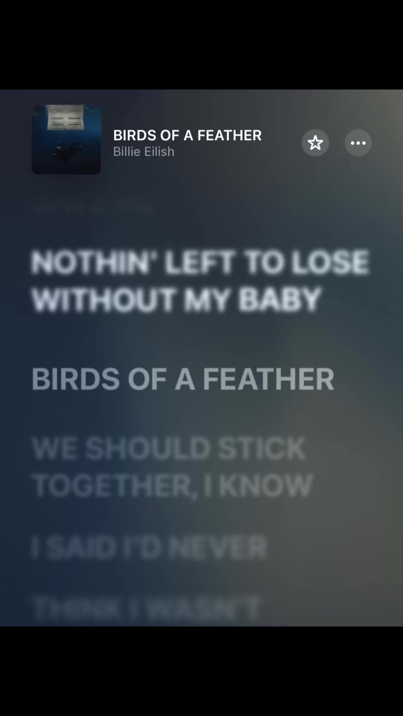 @lyricofmusic_