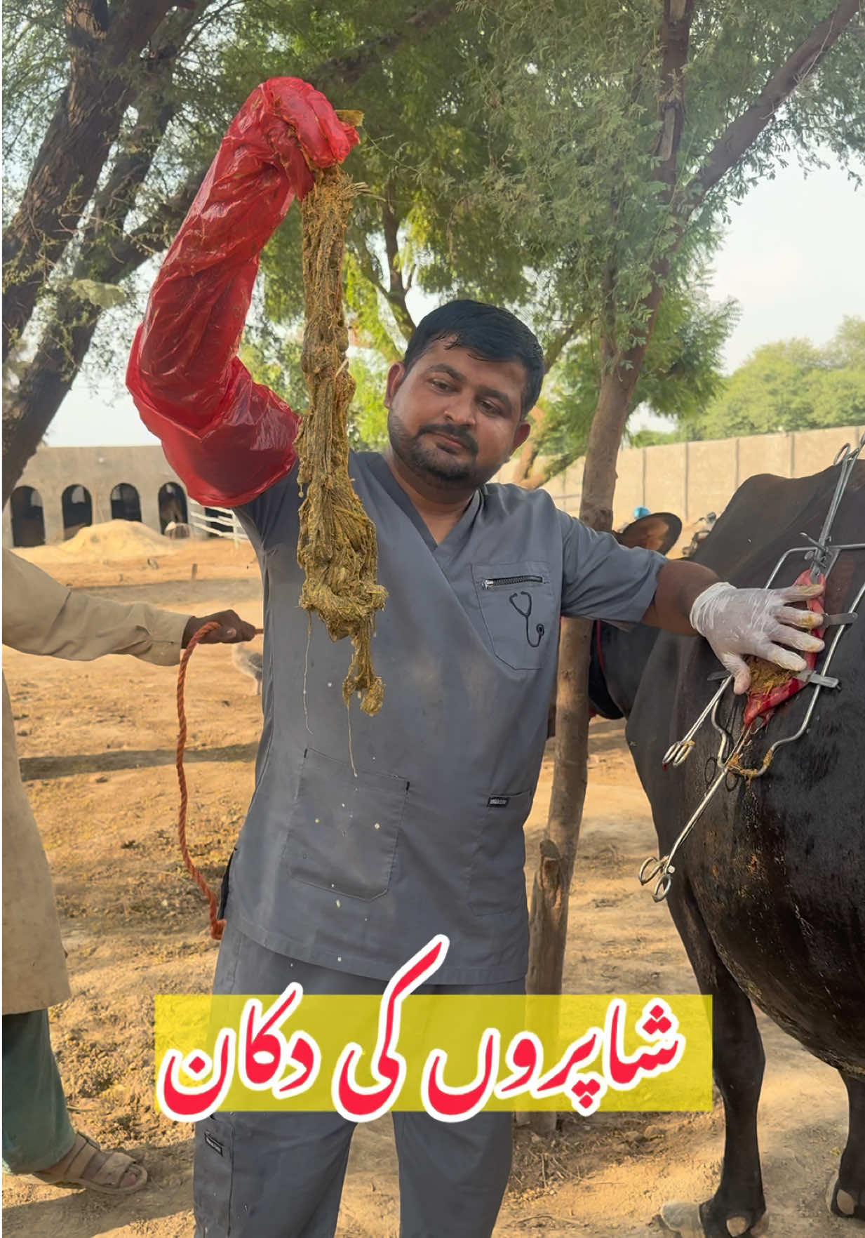 @vet.dr.mohsin4800