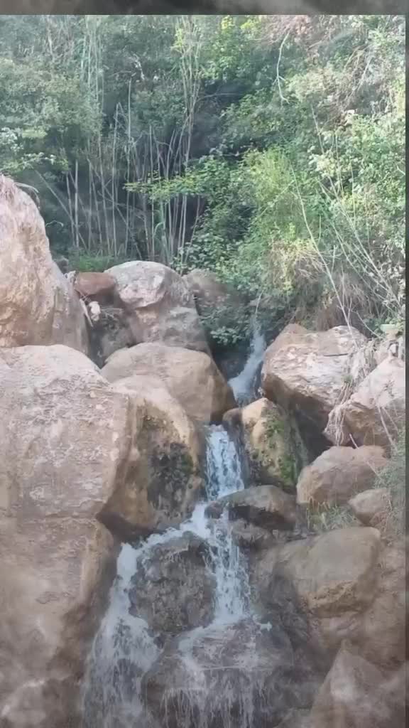 @Ali Ahmad qadri قلندری