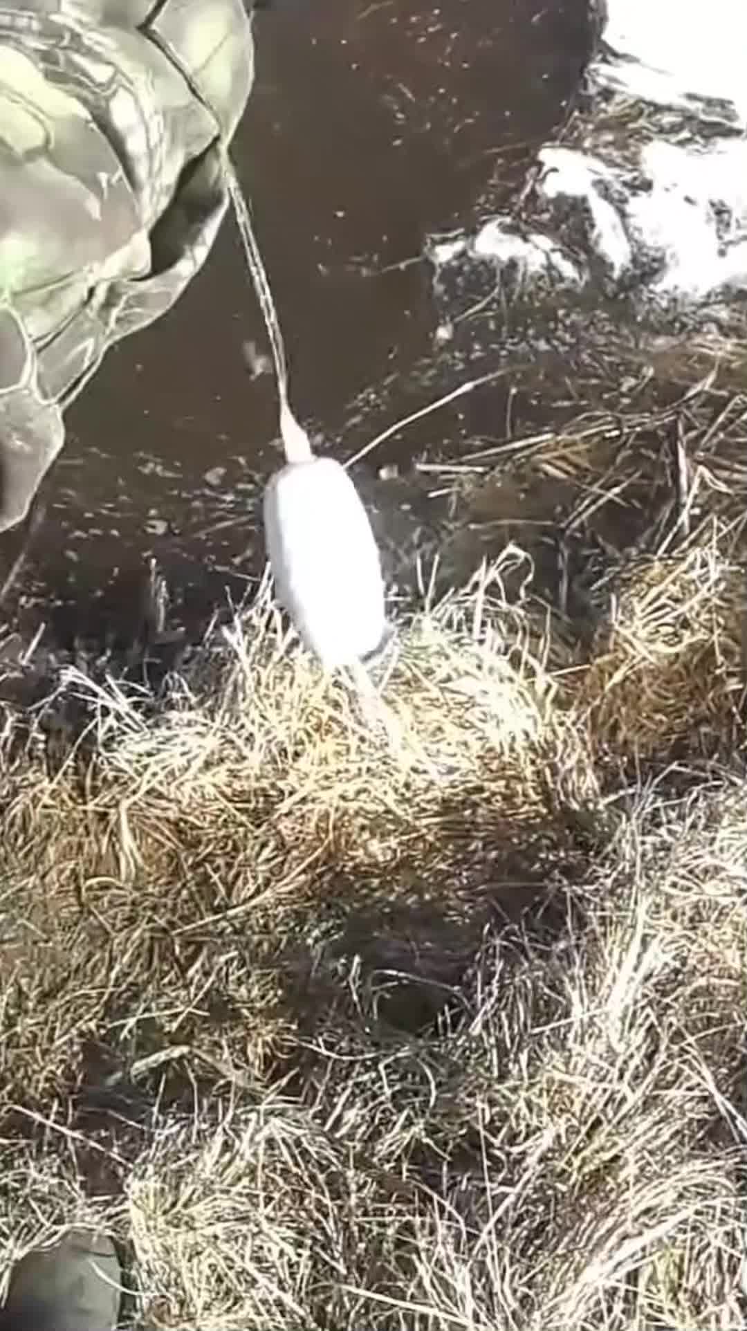 @ribalka_fishing