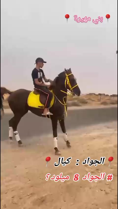 @bader ._. ❤️🔥🐴📍