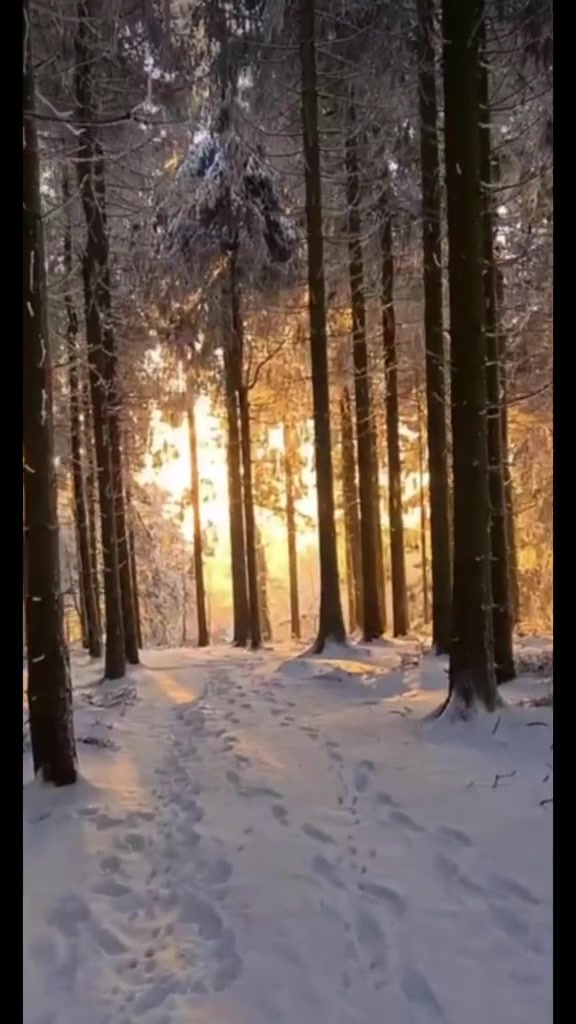 @Zoya🍉