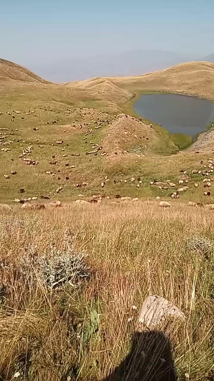 @Zahid cehrili