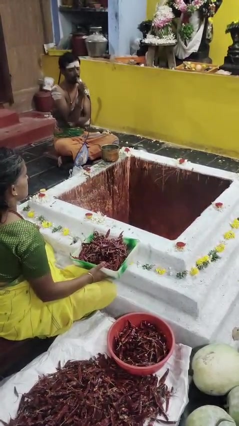 @pratyangirakovil