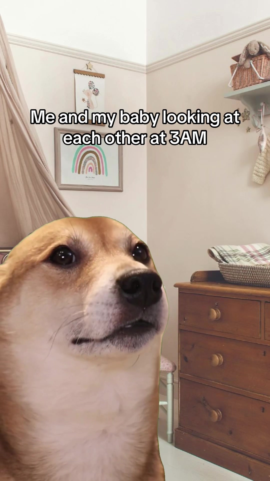 @Cookie&Cuddles