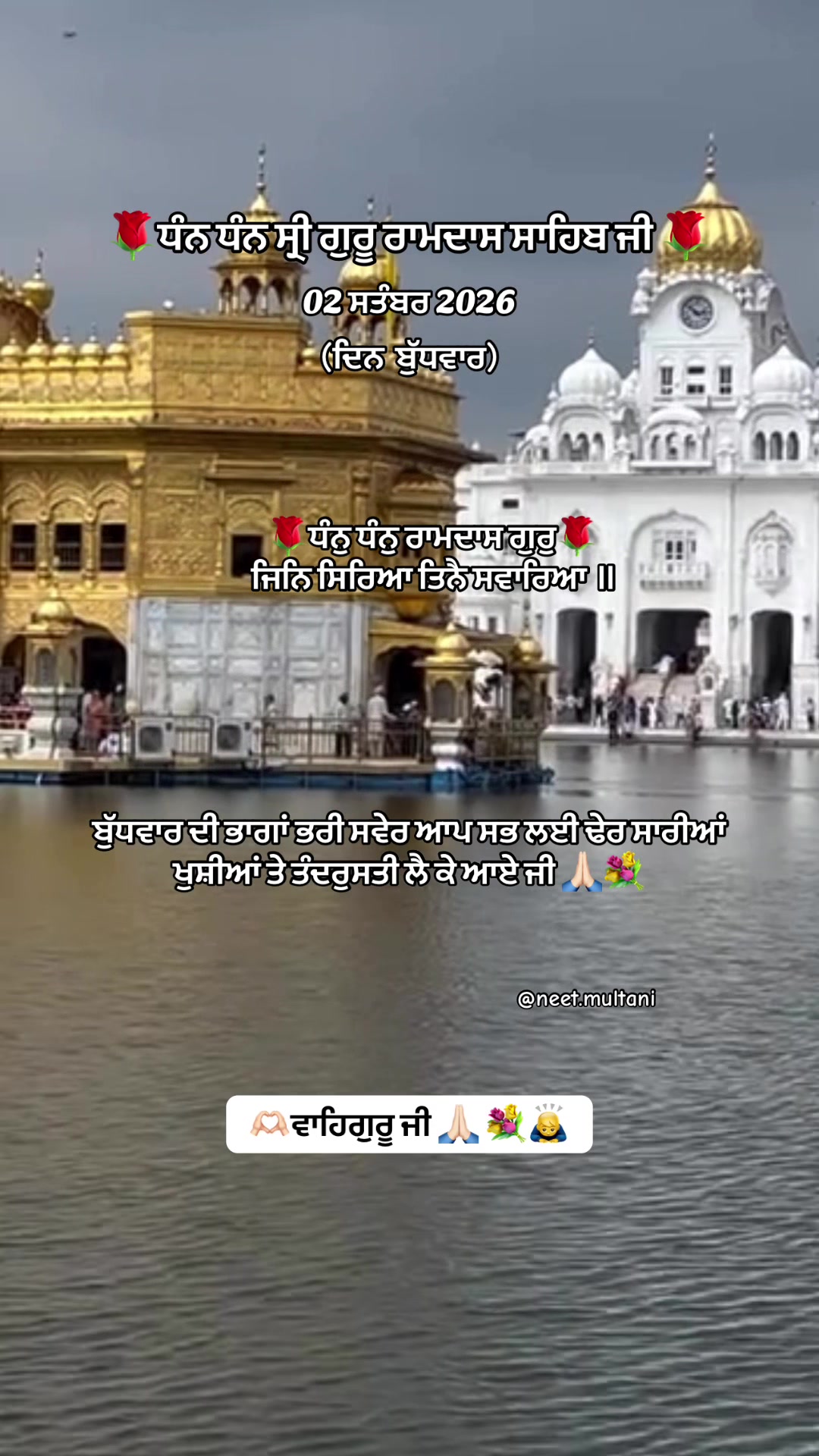 @neet.multani