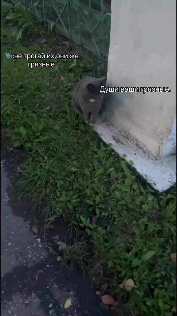 @๐๐๐ก๐๐โ๐๐๐โฌ