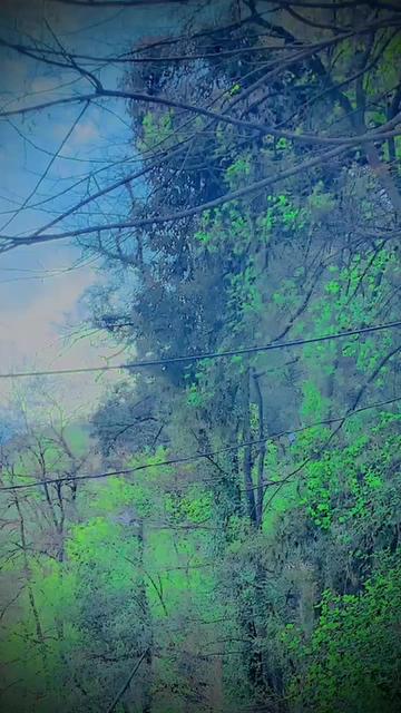 @🚩Sahil Khan 302🍂🫶