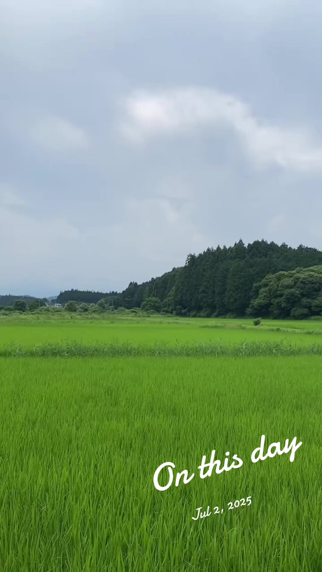 @マシ1010