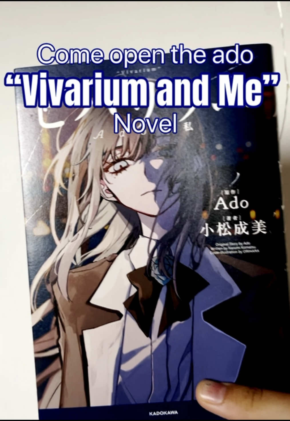 @• Luci ┊ Adomin !!