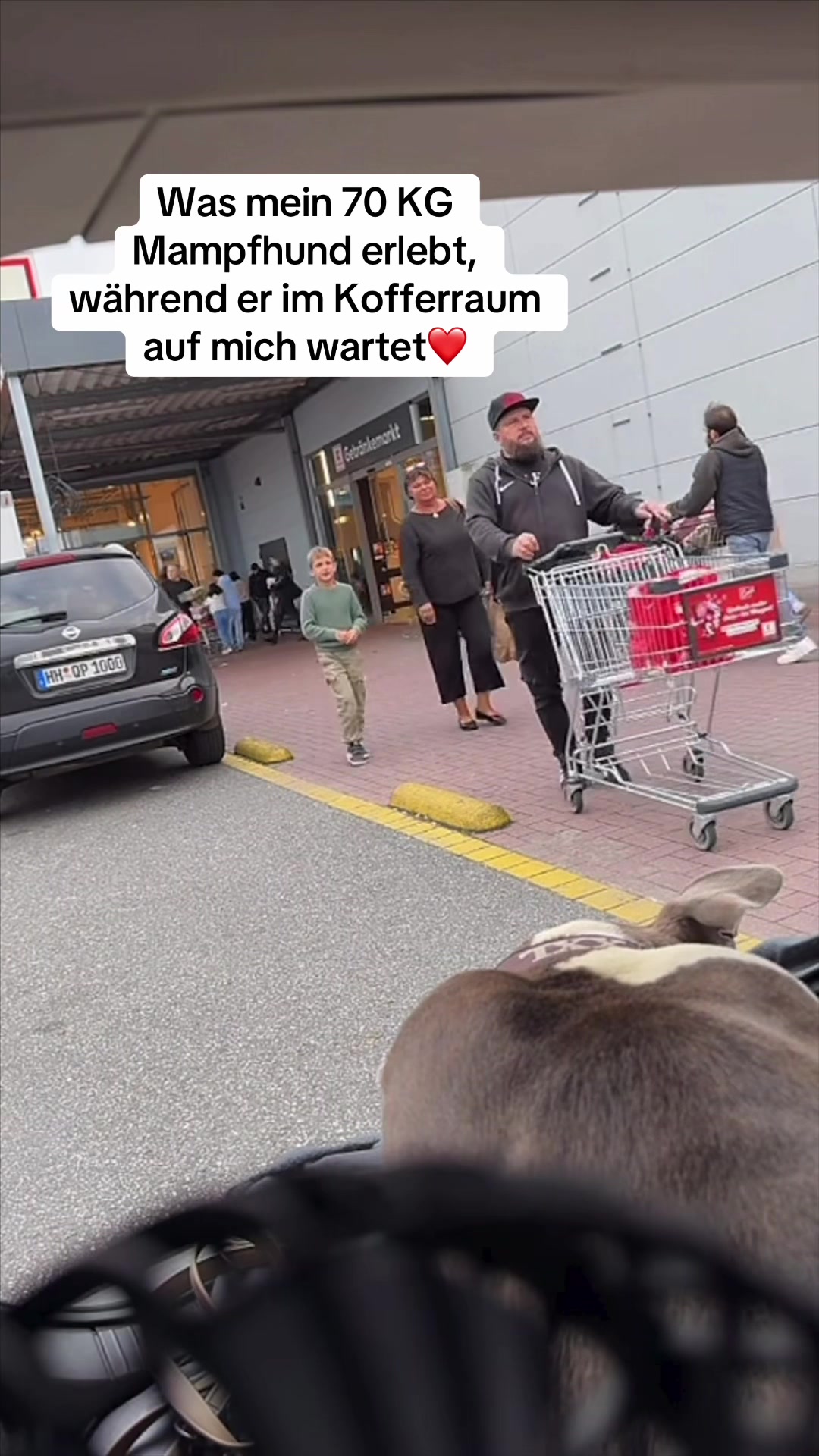 @XXLBALU