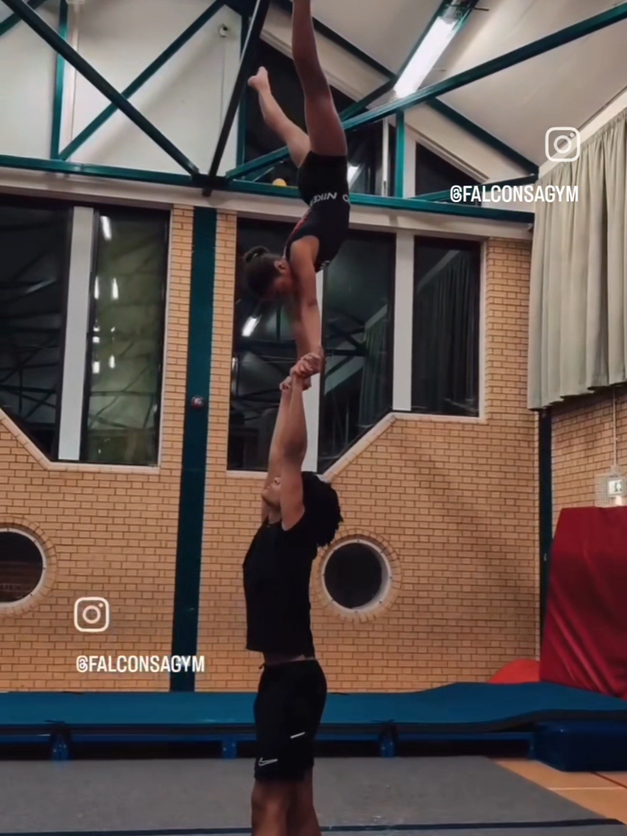 @Falcon Gym