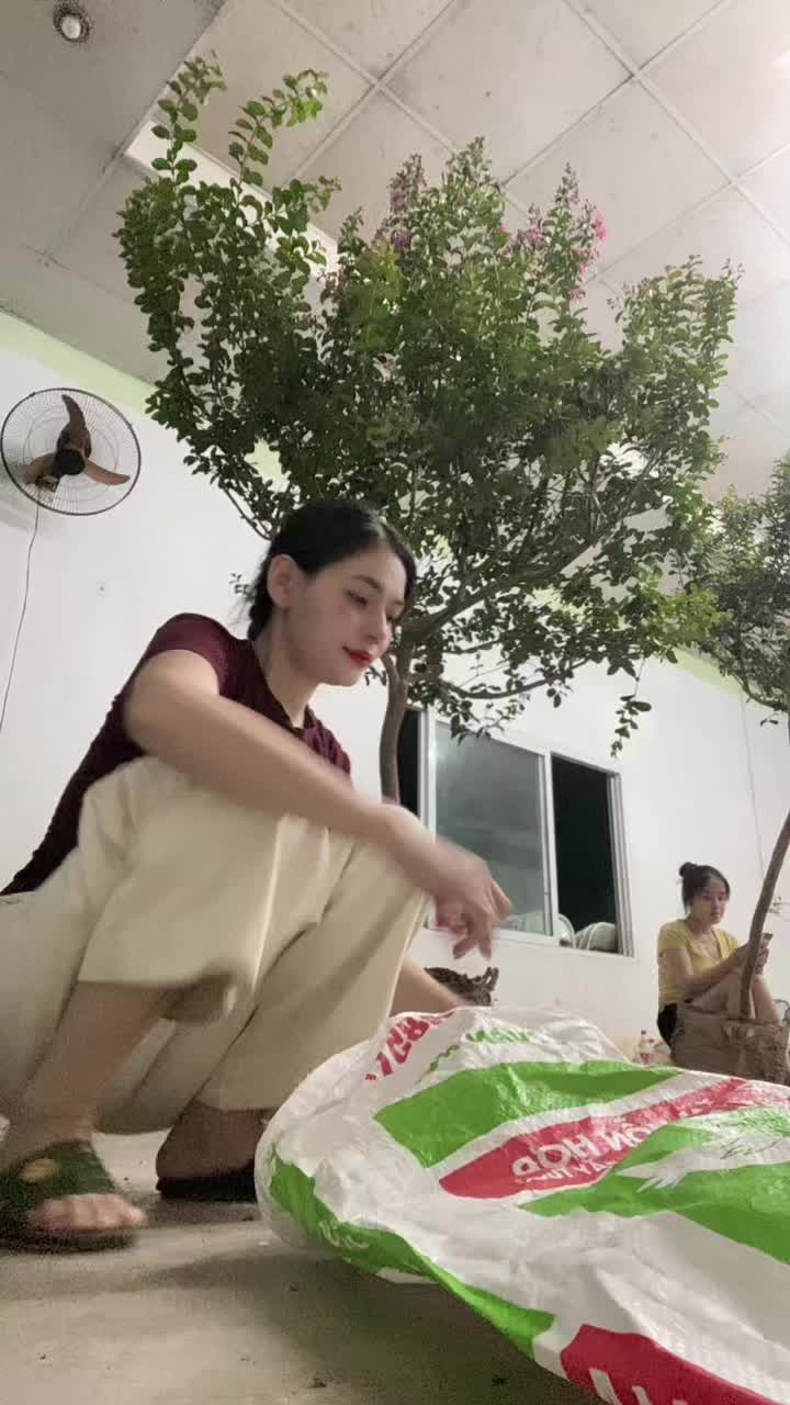 @Khổng La