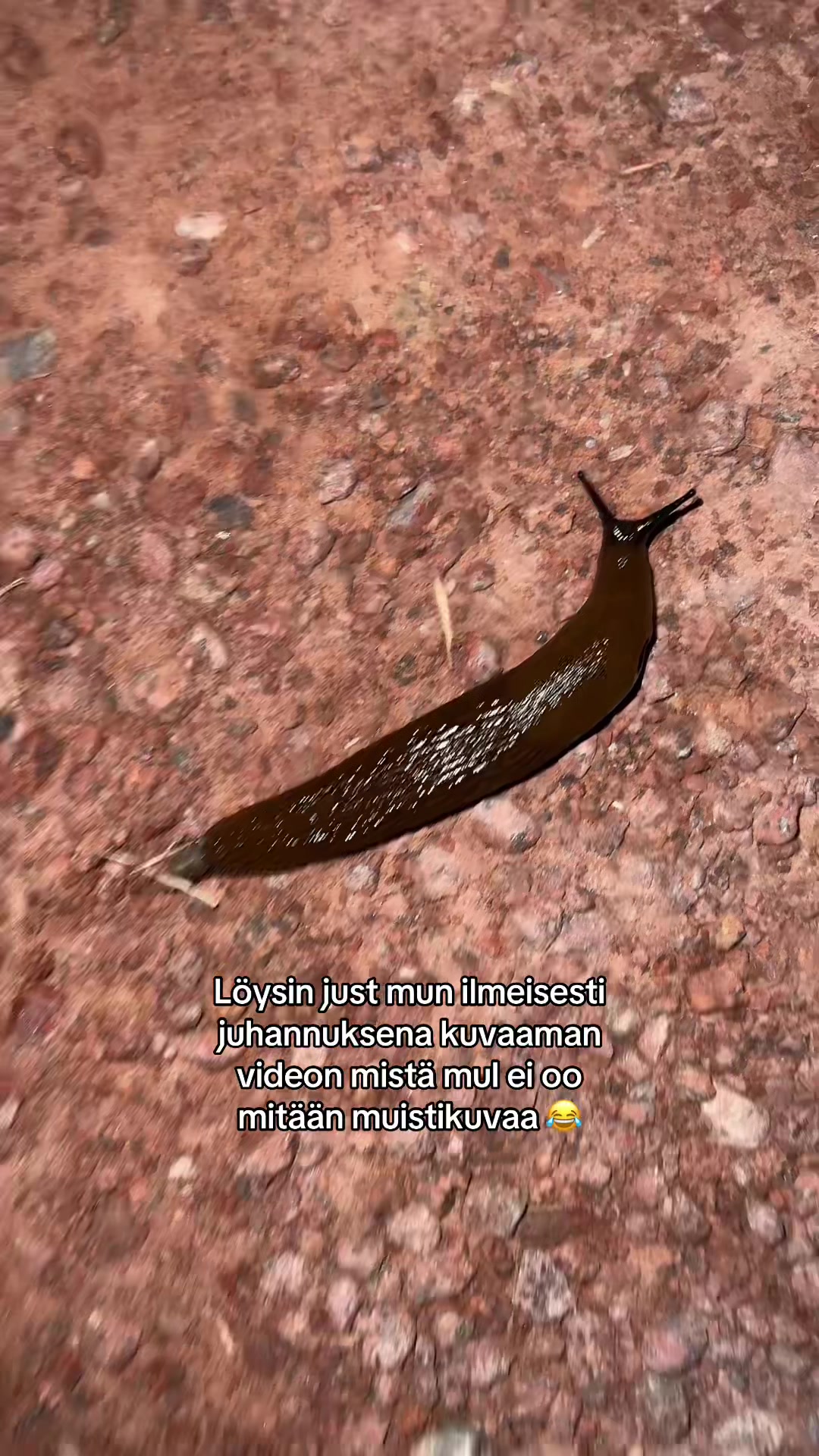 @🫧 ᴏʟɪᴠɪᴀ 🫧