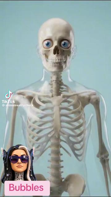 @꧁༺ɮʊɮɮʟɛֆ༻꧂