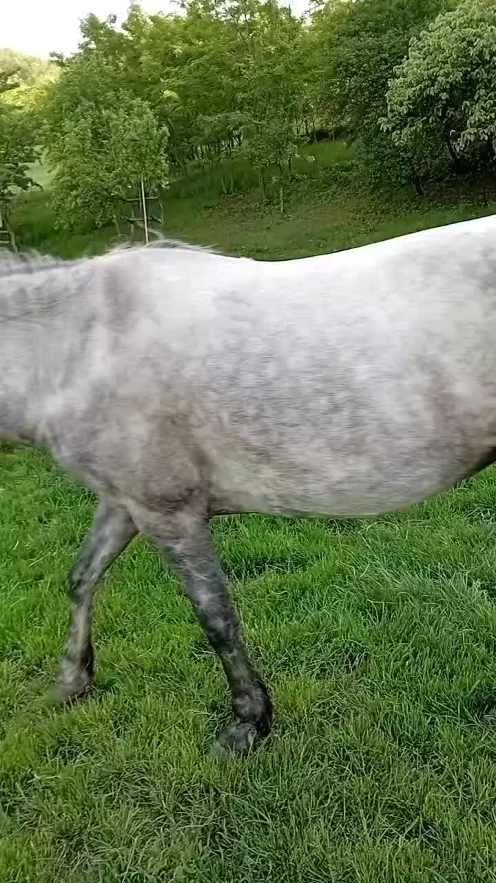 @Sebi Lazăr