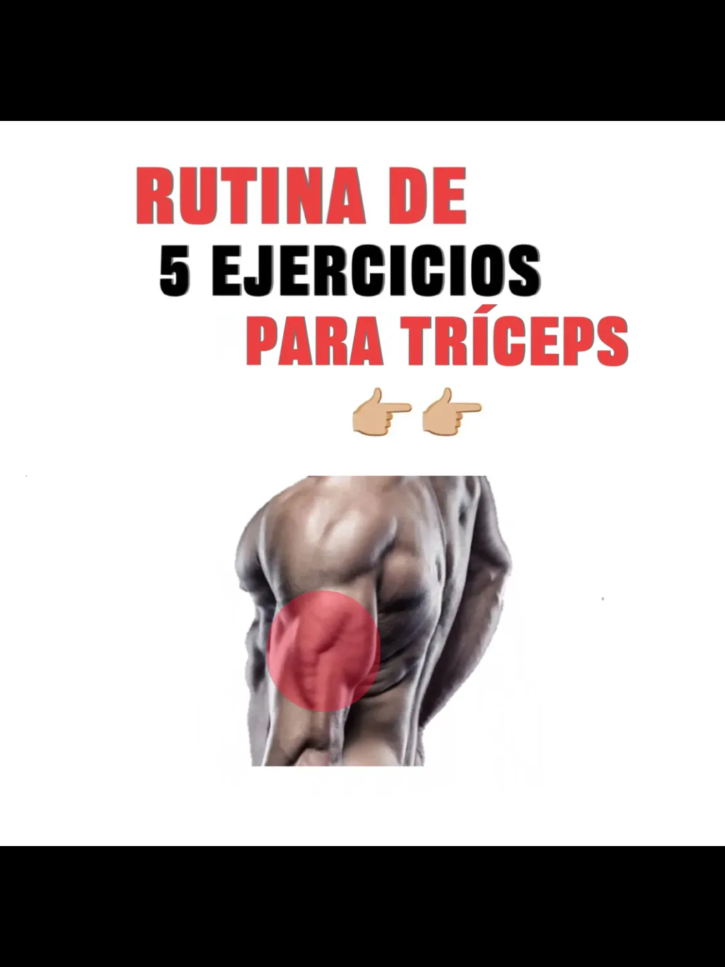 @FitnessRZ 🧬