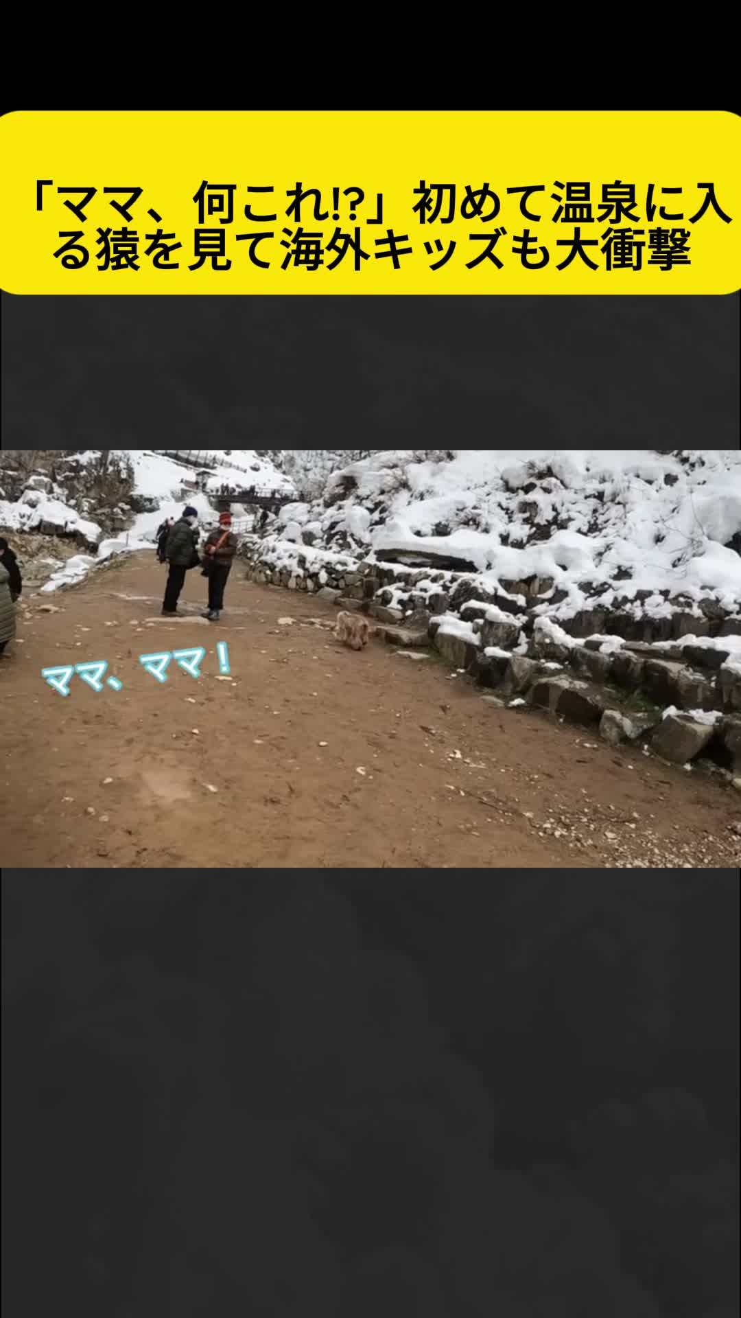 @user12314566786868