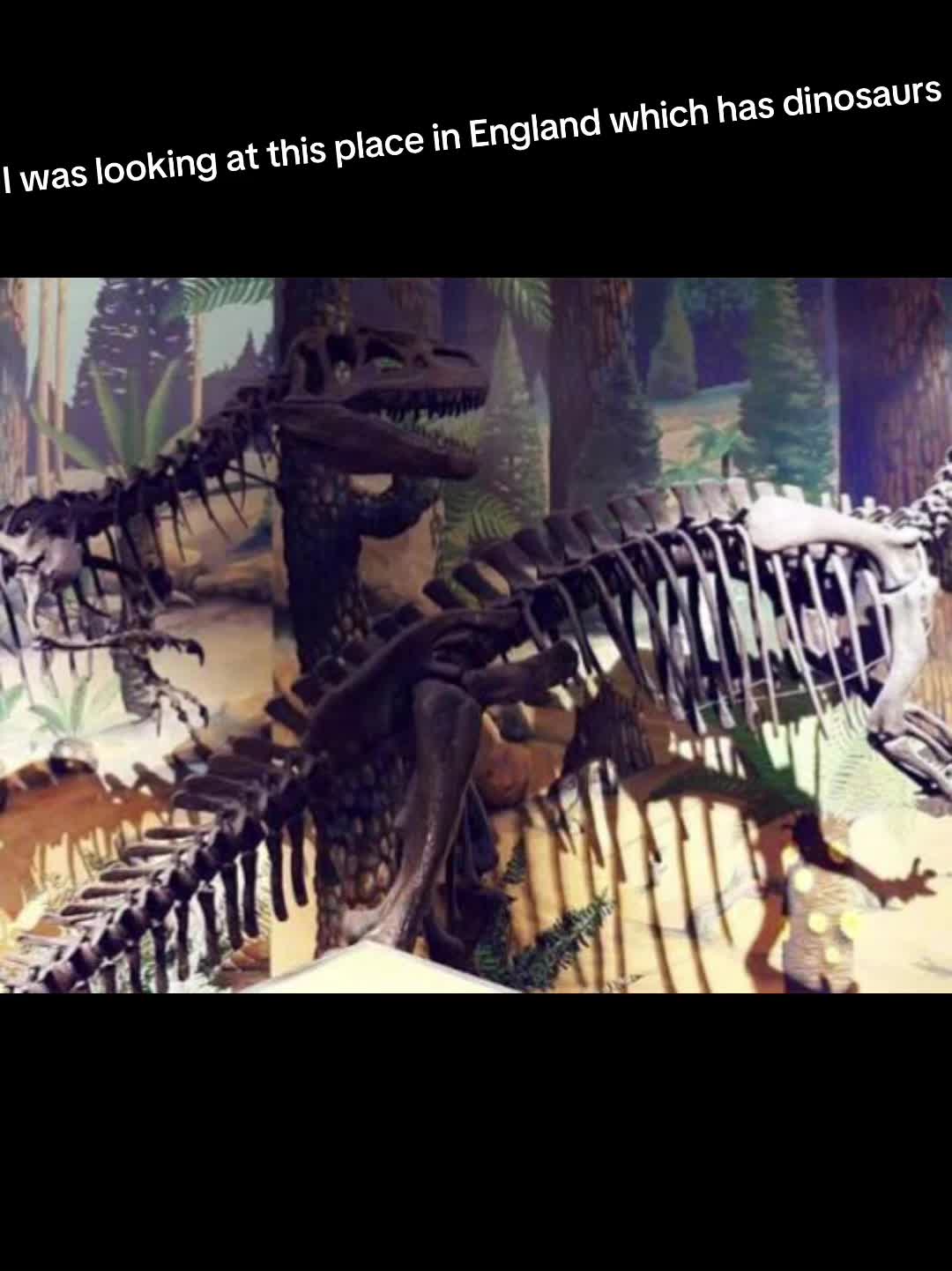 @⛰️Titanus Methuselah⛰️
