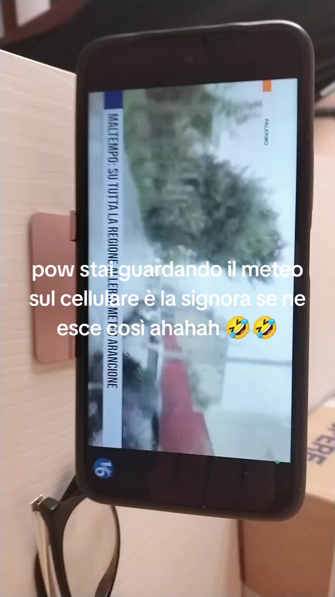 @andrea criscione