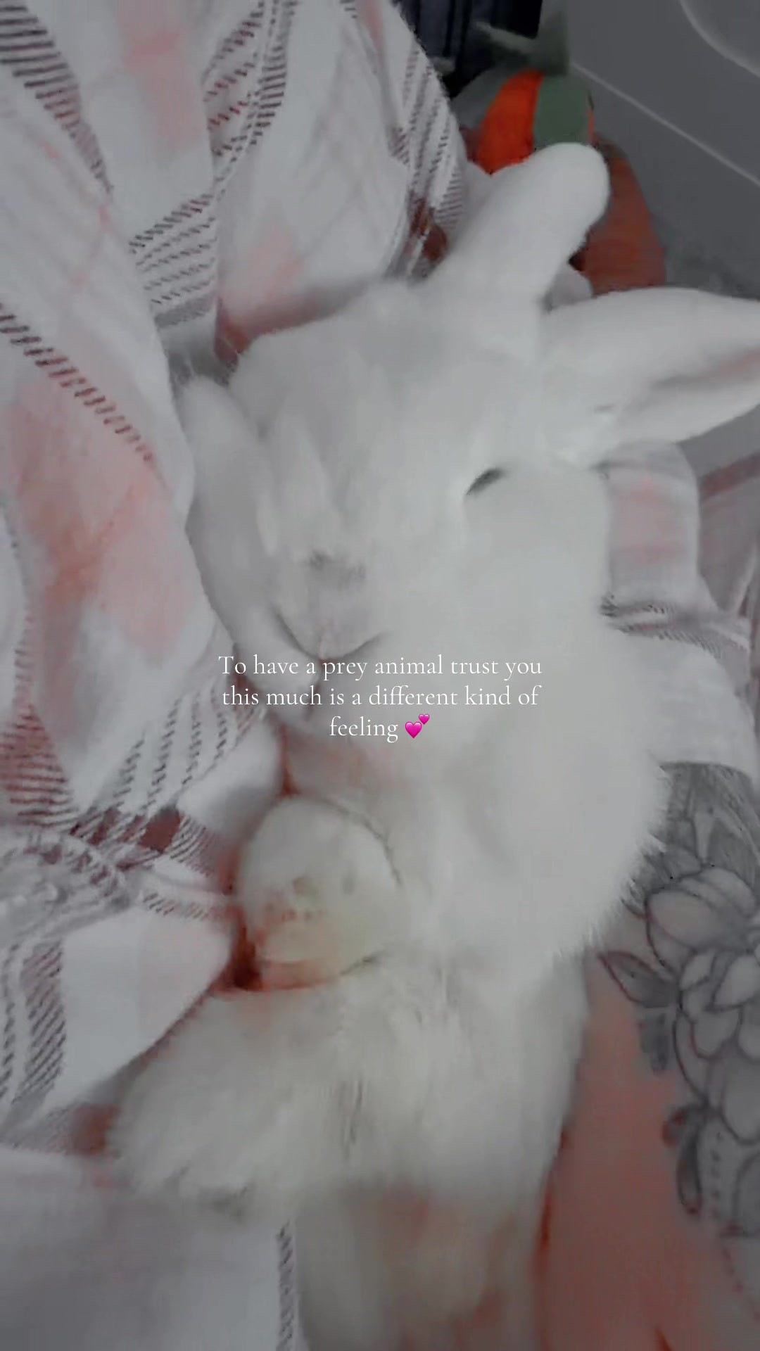@B o b b i e 👩🏼&zwj;🦰 | T1D mum
