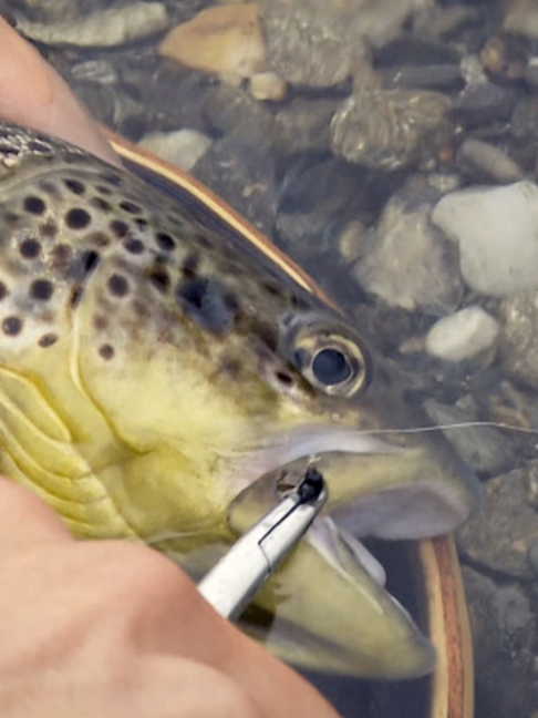 @Fishing TV
