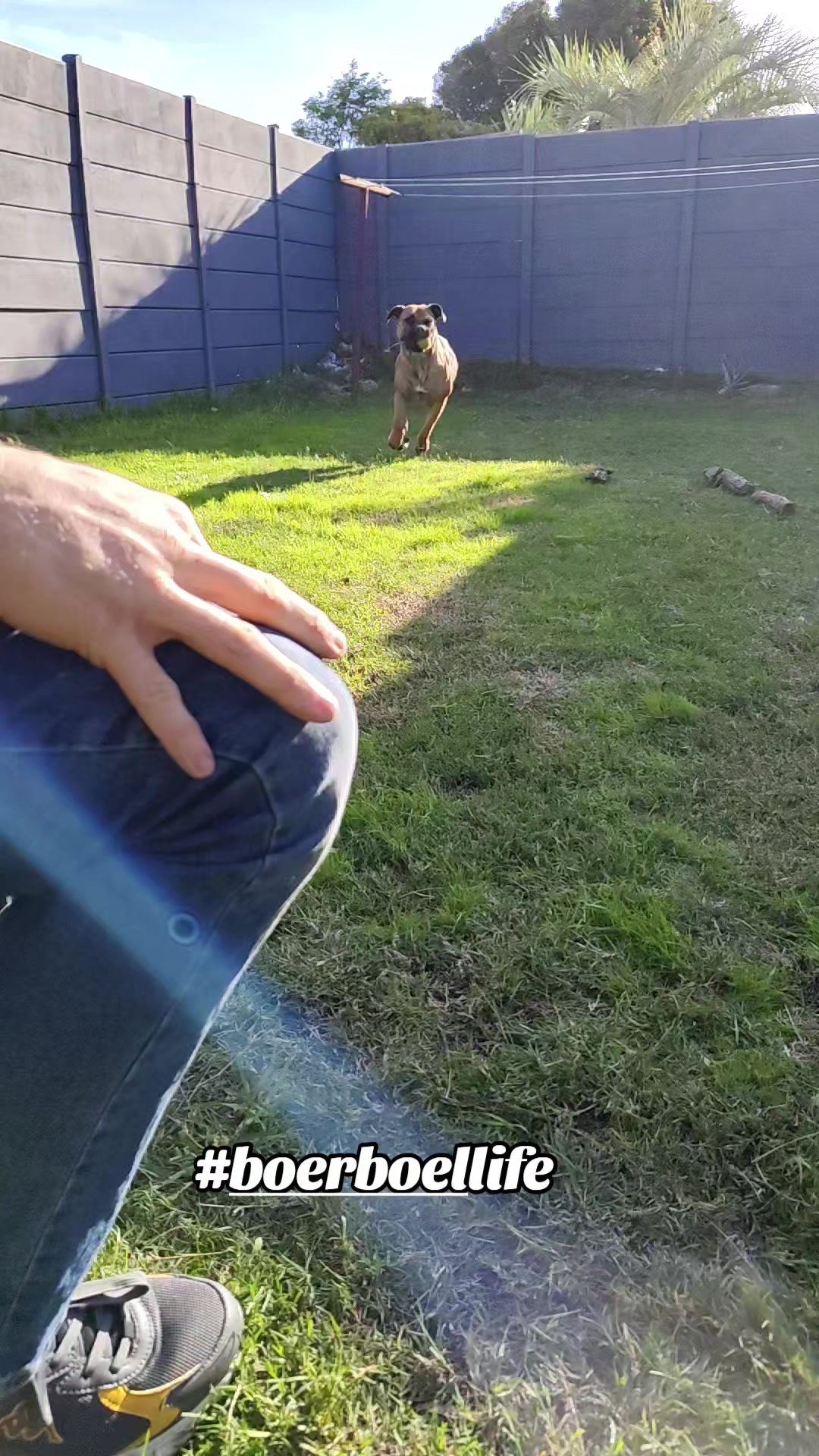@Mishatheboerboel