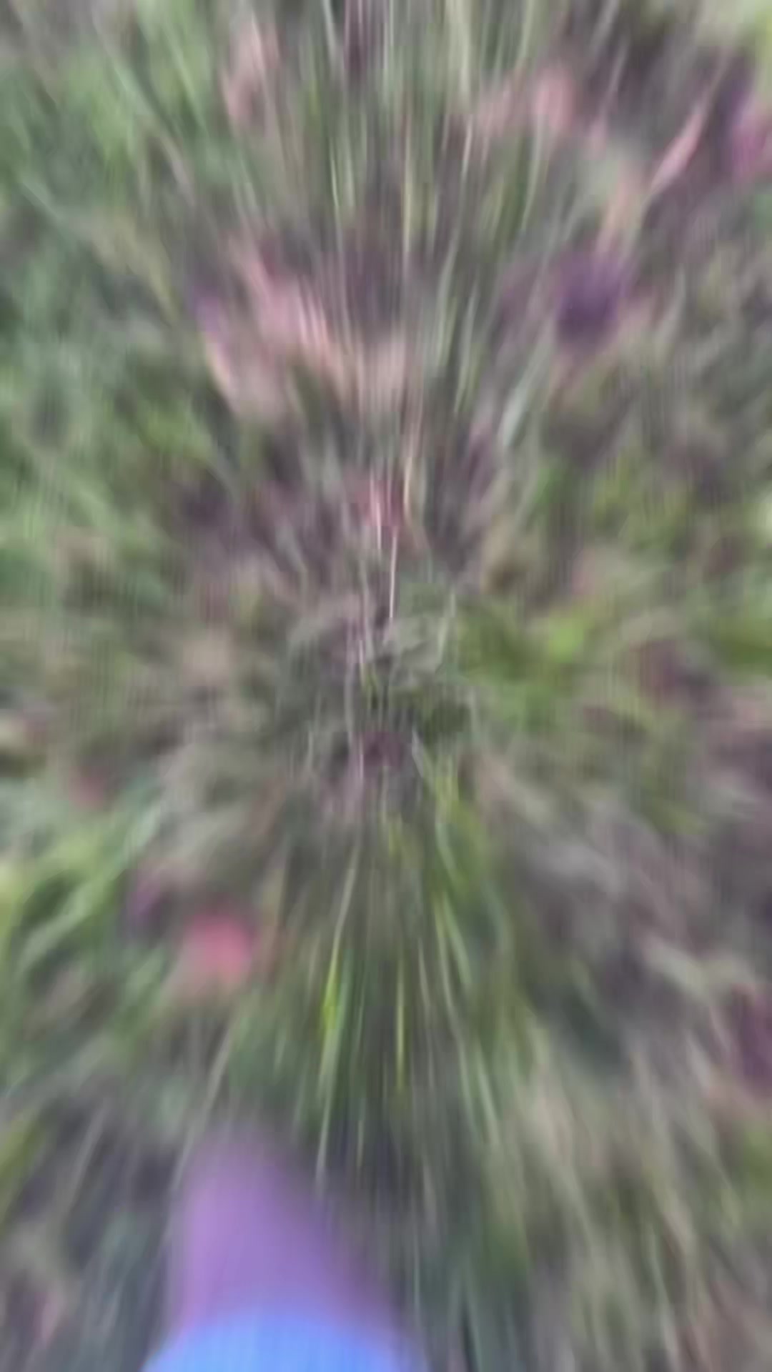 @psiclianalinhares
