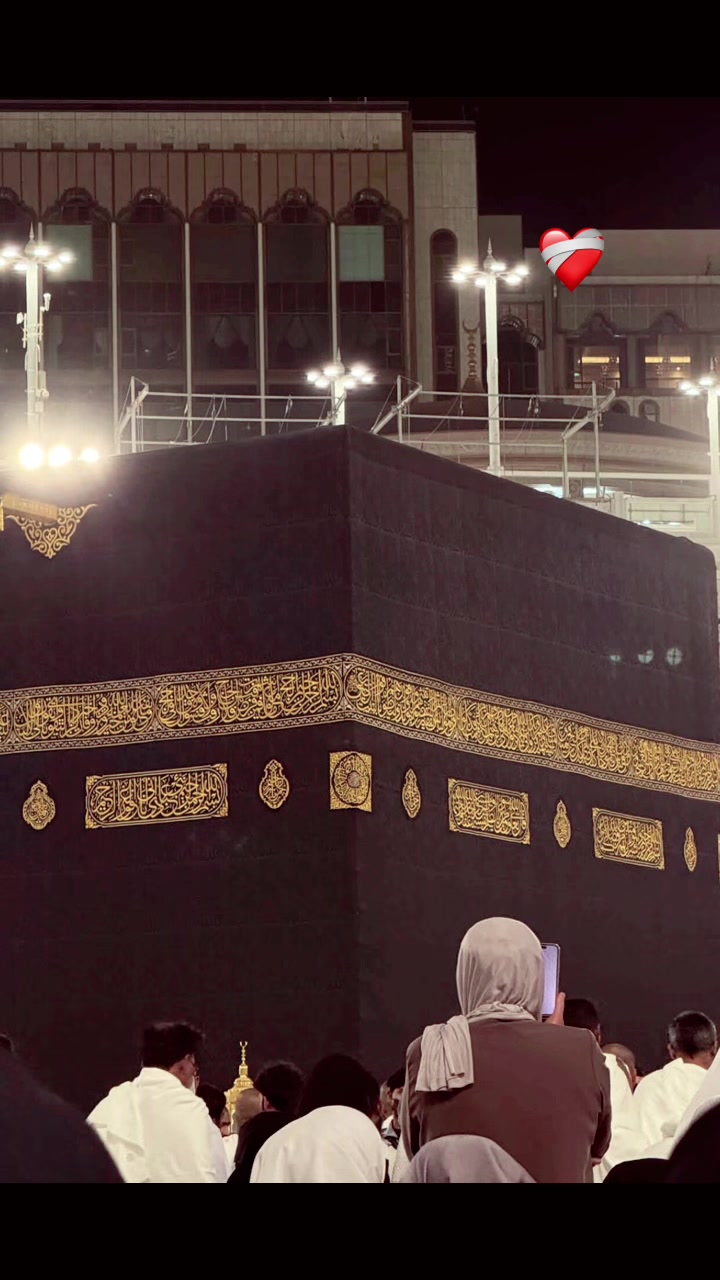 @ZAIB🐝