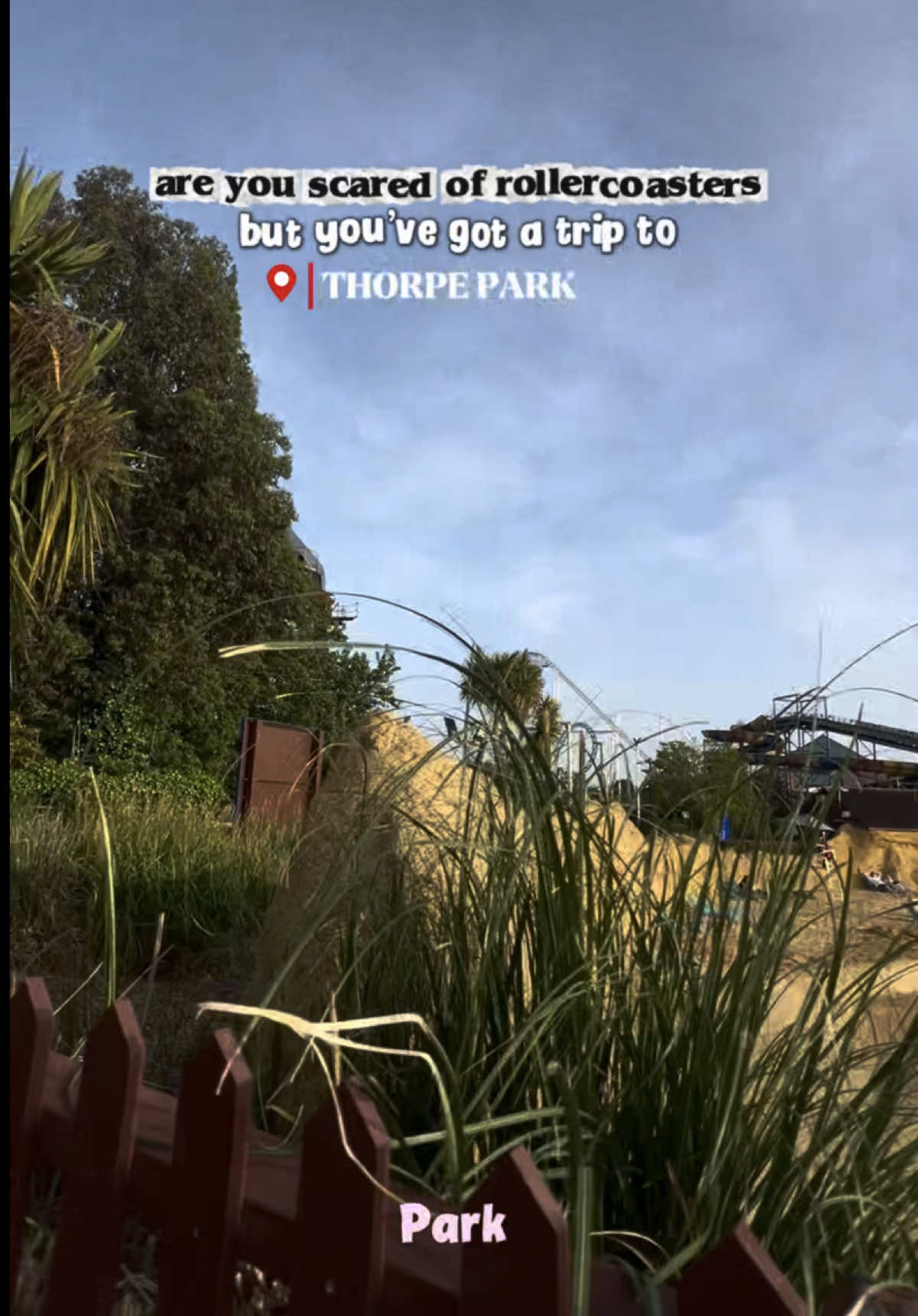 @𝓜𝓮𝓰𝓪𝓷 🎢