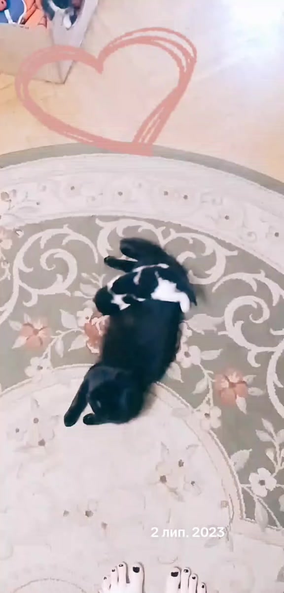 @Ksenia:💙🖤