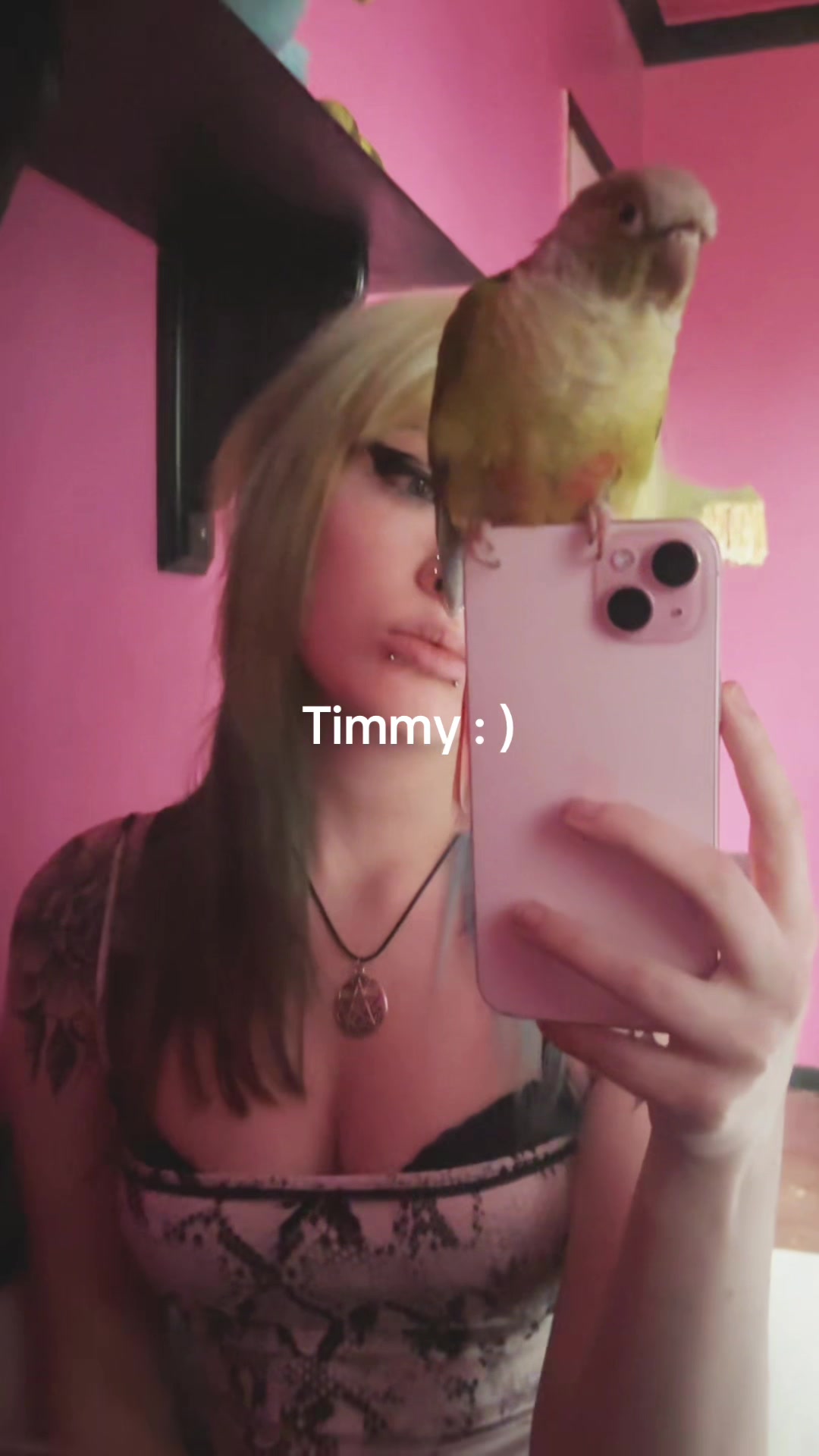 @tophatcat67