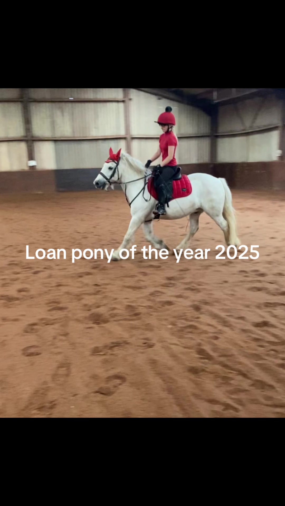 @Freya_horses
