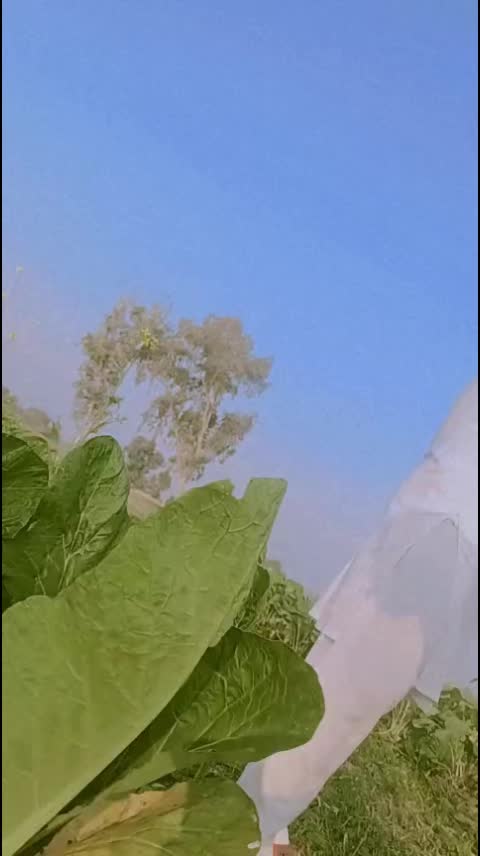 @usama007