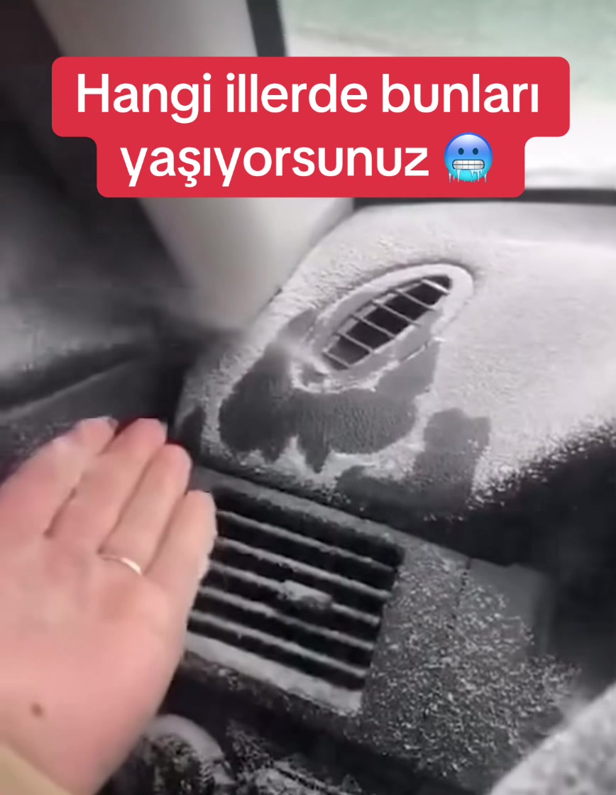 @Aylin Demir Fanları