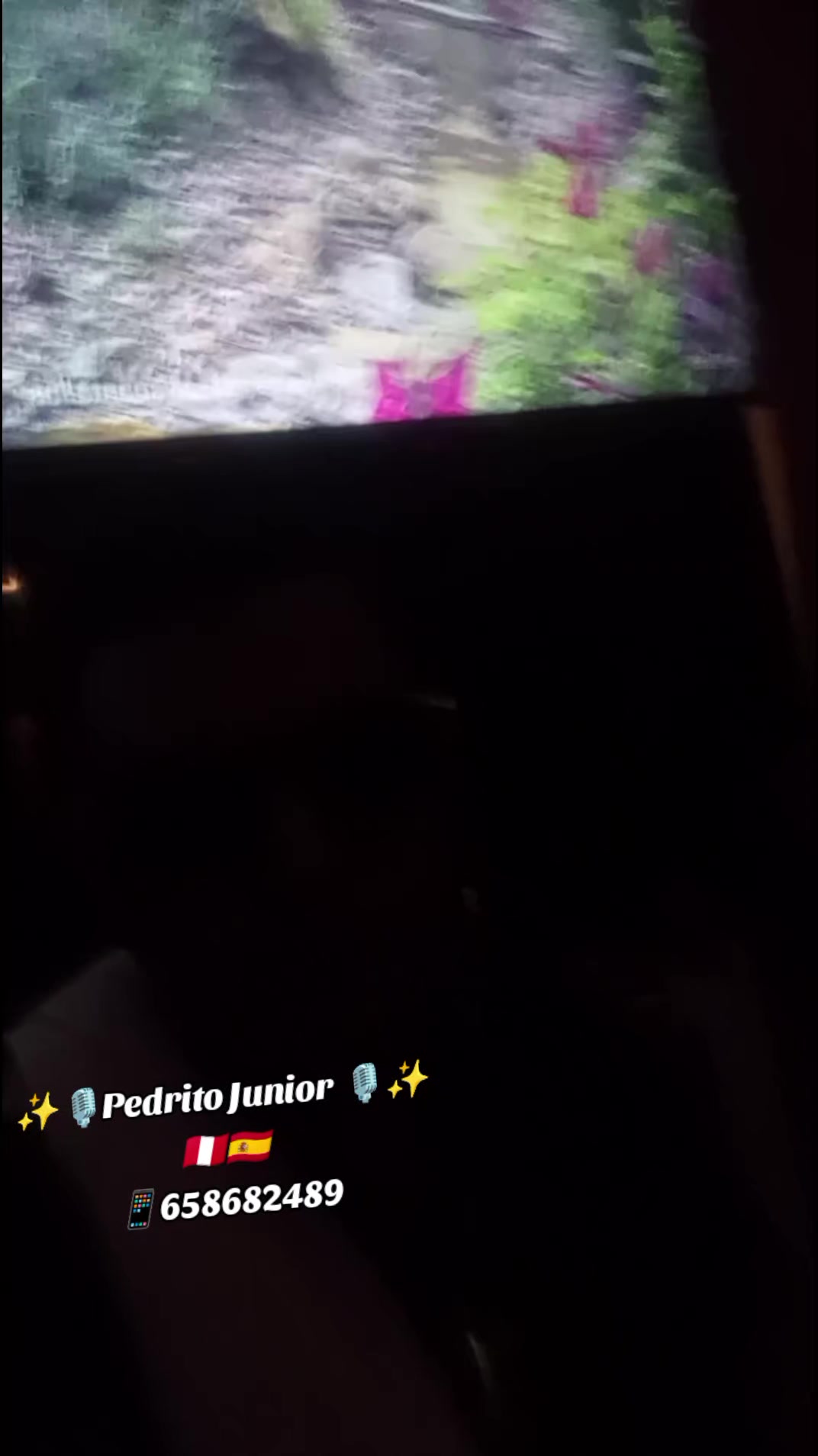 @🇵🇪🇪🇸🎙️PEDRITO JUNIOR🎙️✨