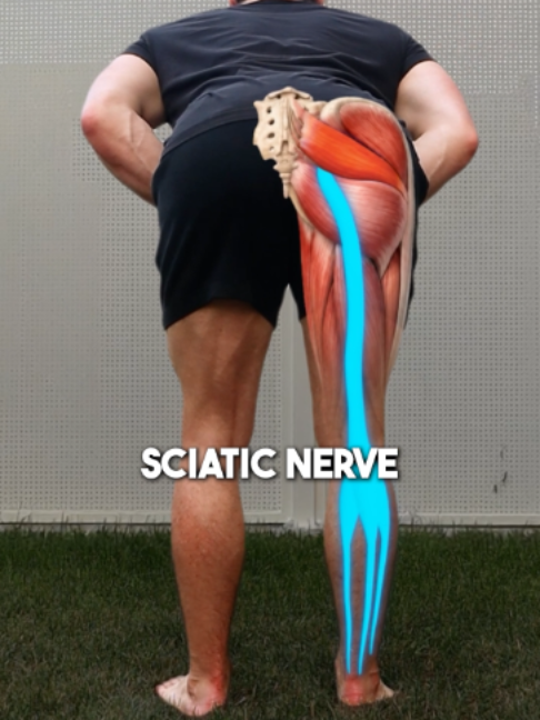 @Recover Pain