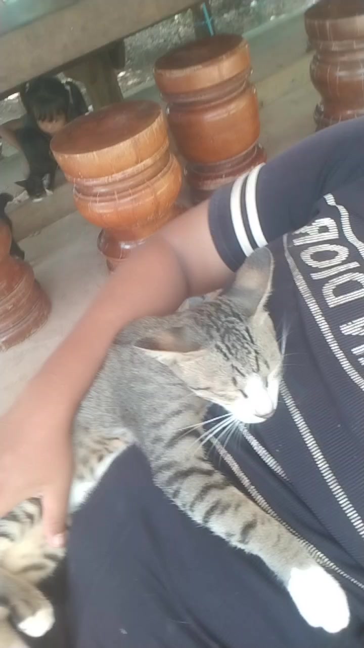 @🇰🇭កូនអ្នកកំពង់ចាម🇰🇭💗