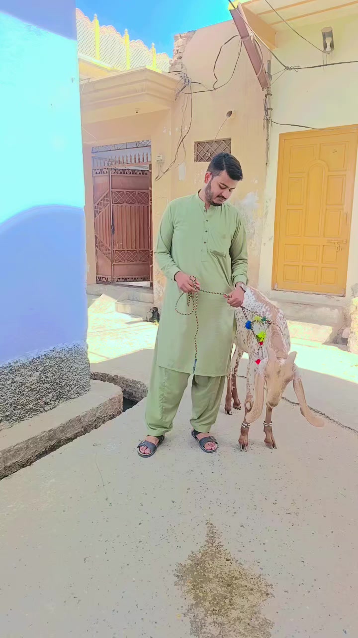 @Bilal siddique