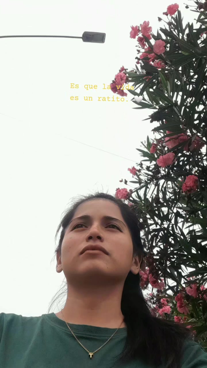 @Hanna 🦋