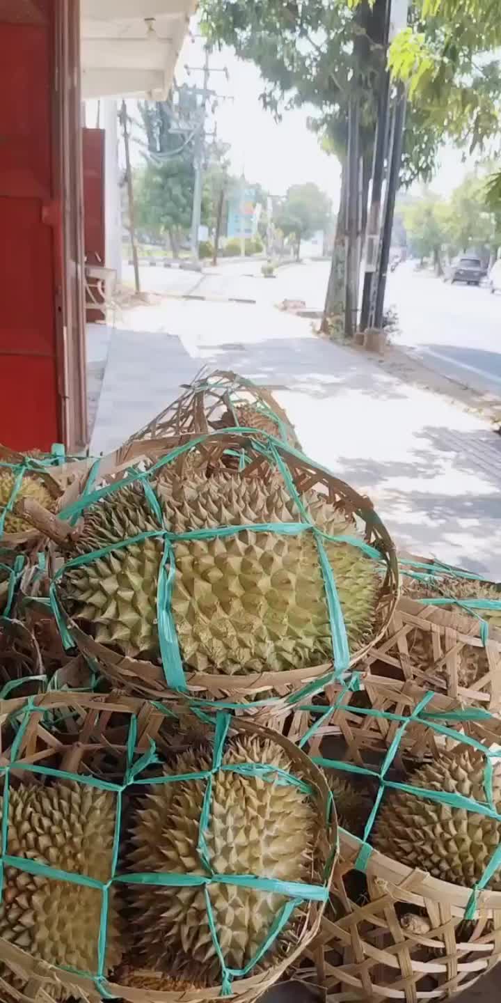 @Kenzhi Durian Tuban