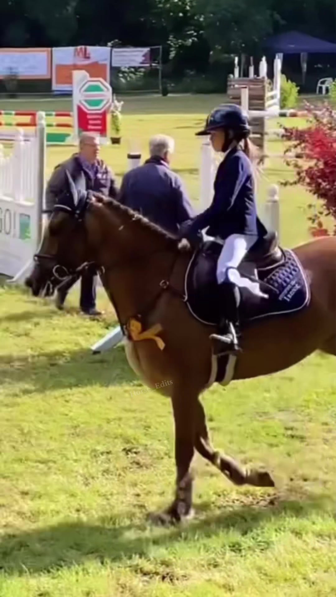@horse_edits