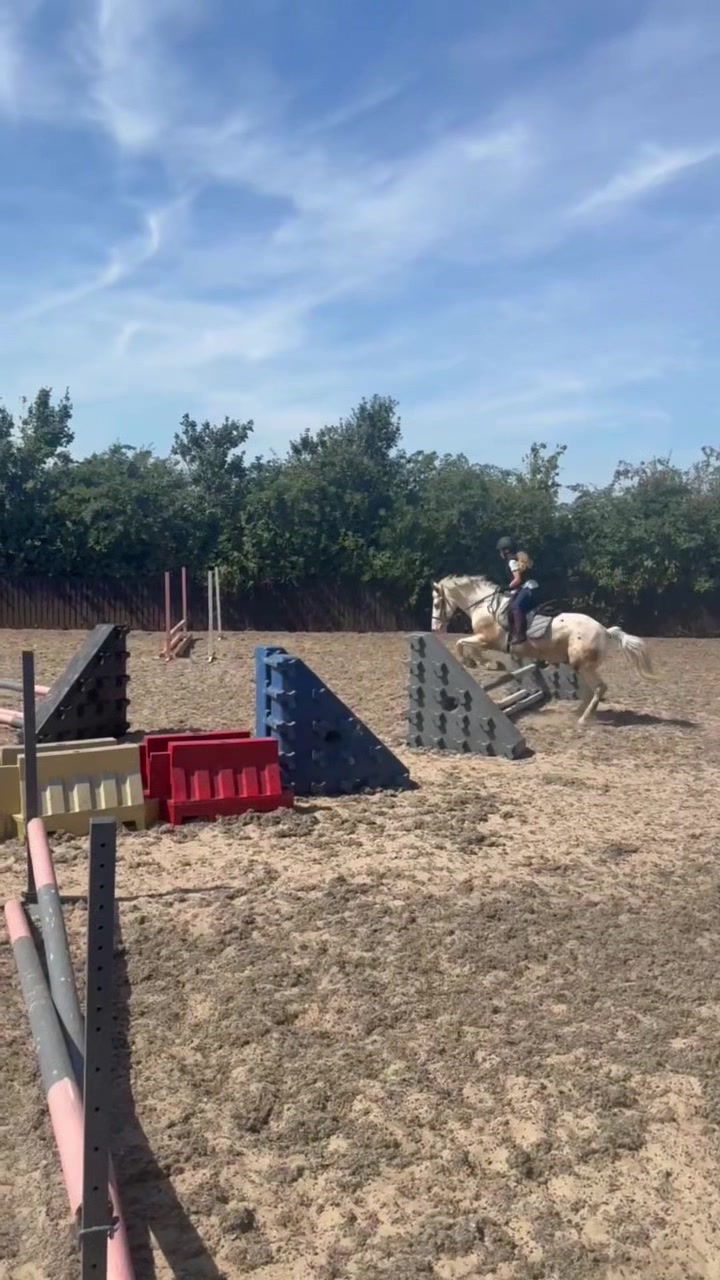 @LottiesHorseAdventures🦄🐴