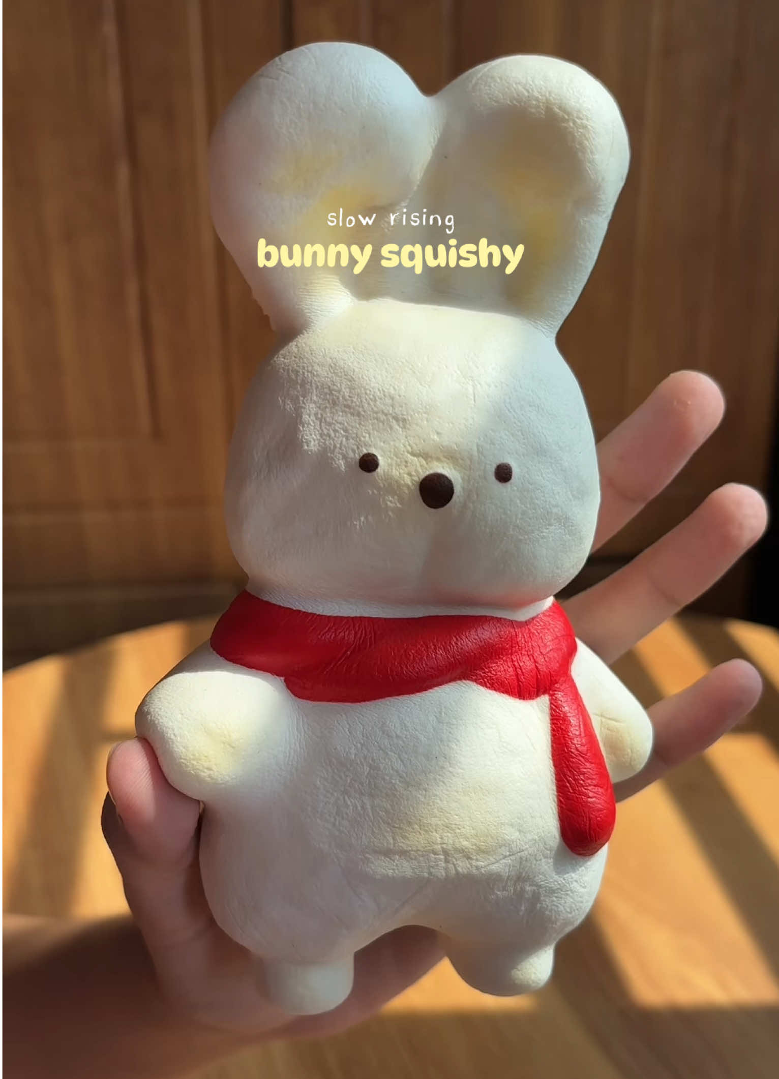 @xeinchi
