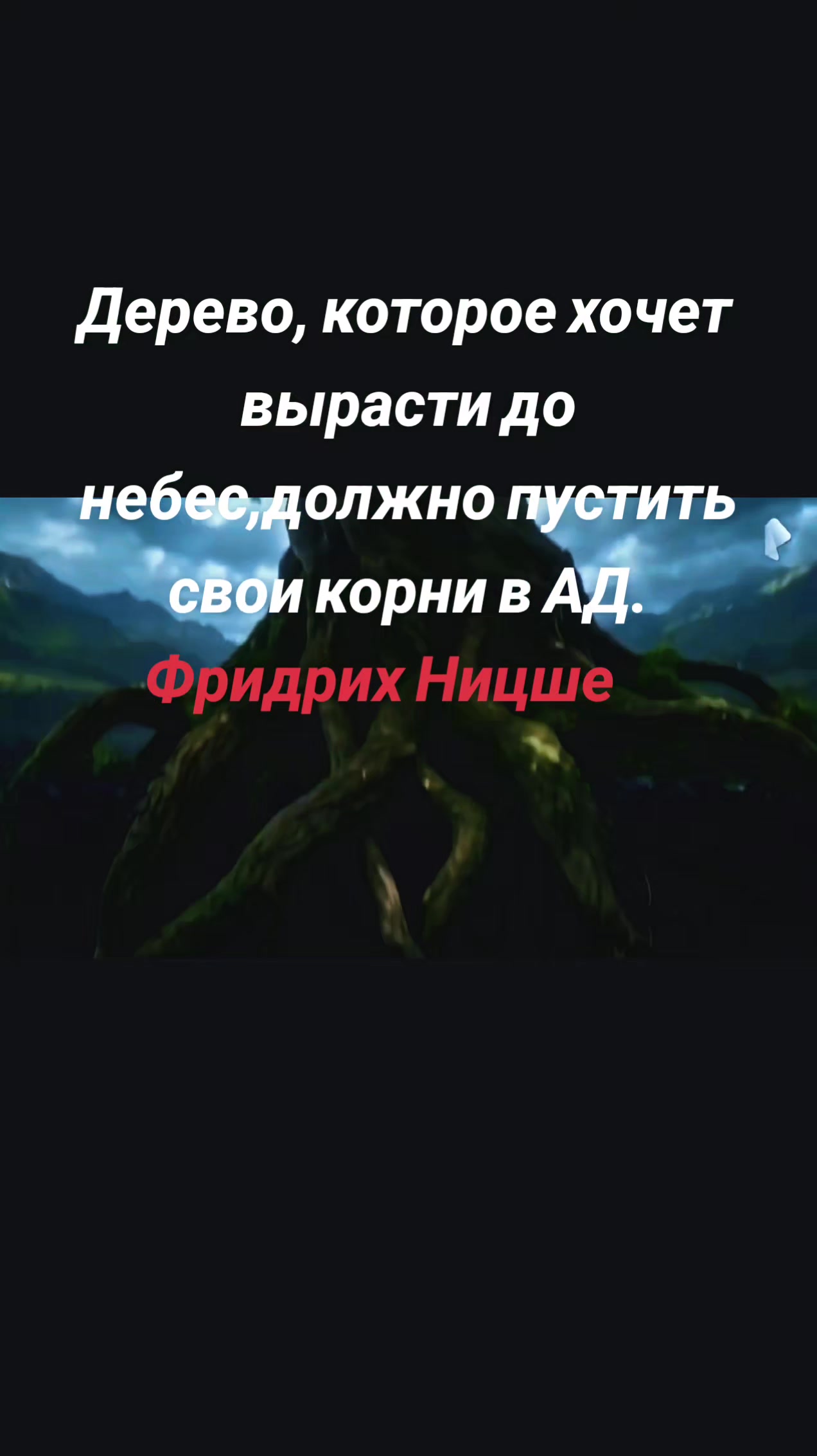 @Edward 1985