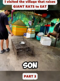 @Araya Vlogs