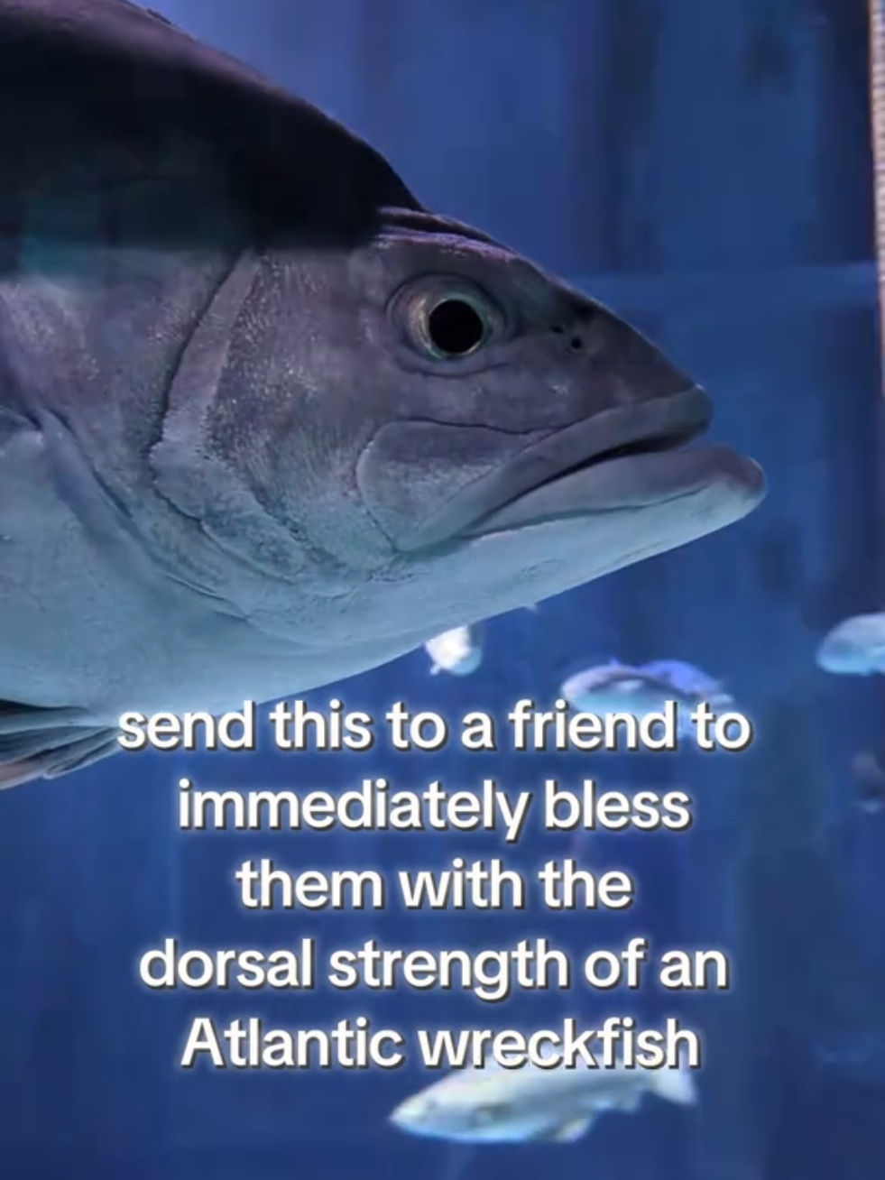 @BristolAquarium
