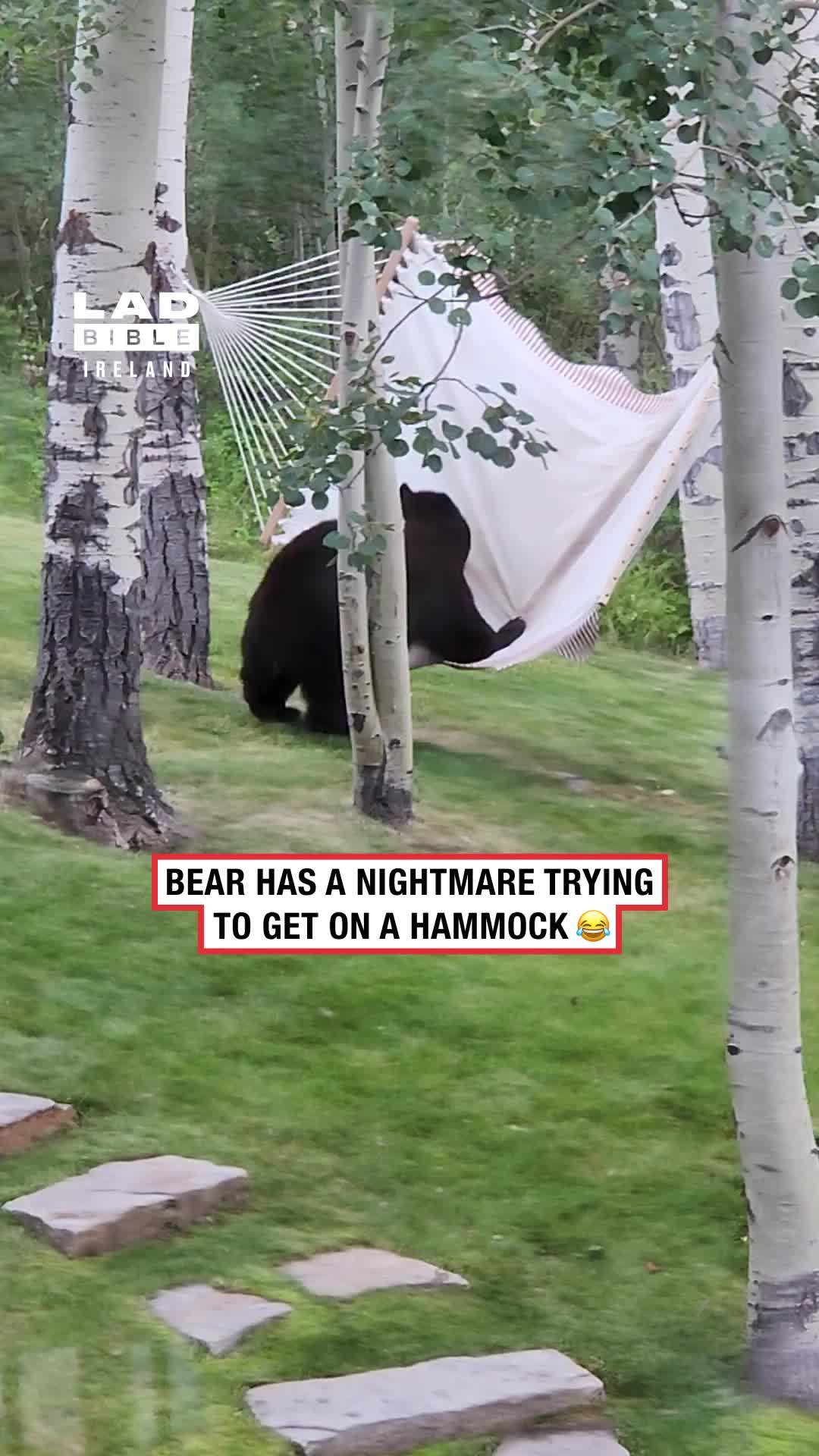 @LADbible Ireland