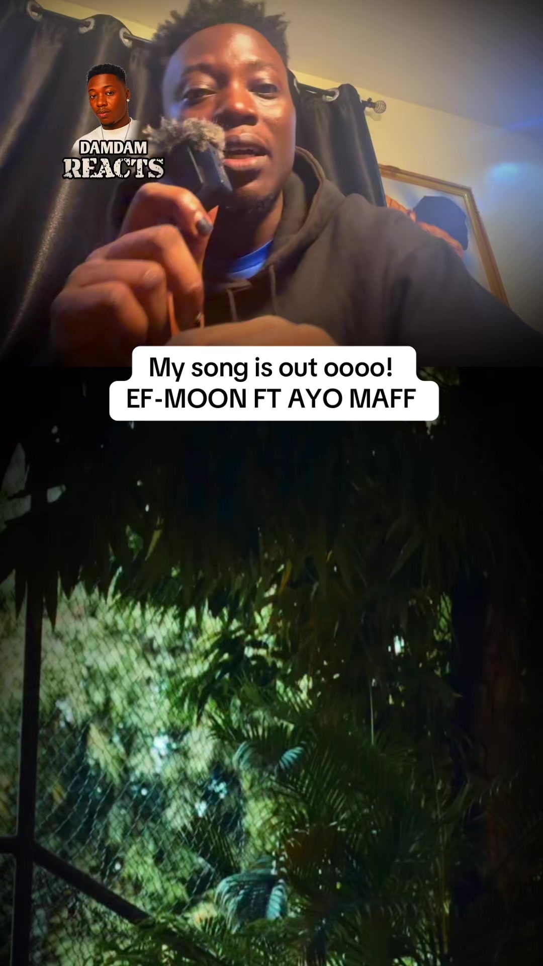 @DamDam Reacts