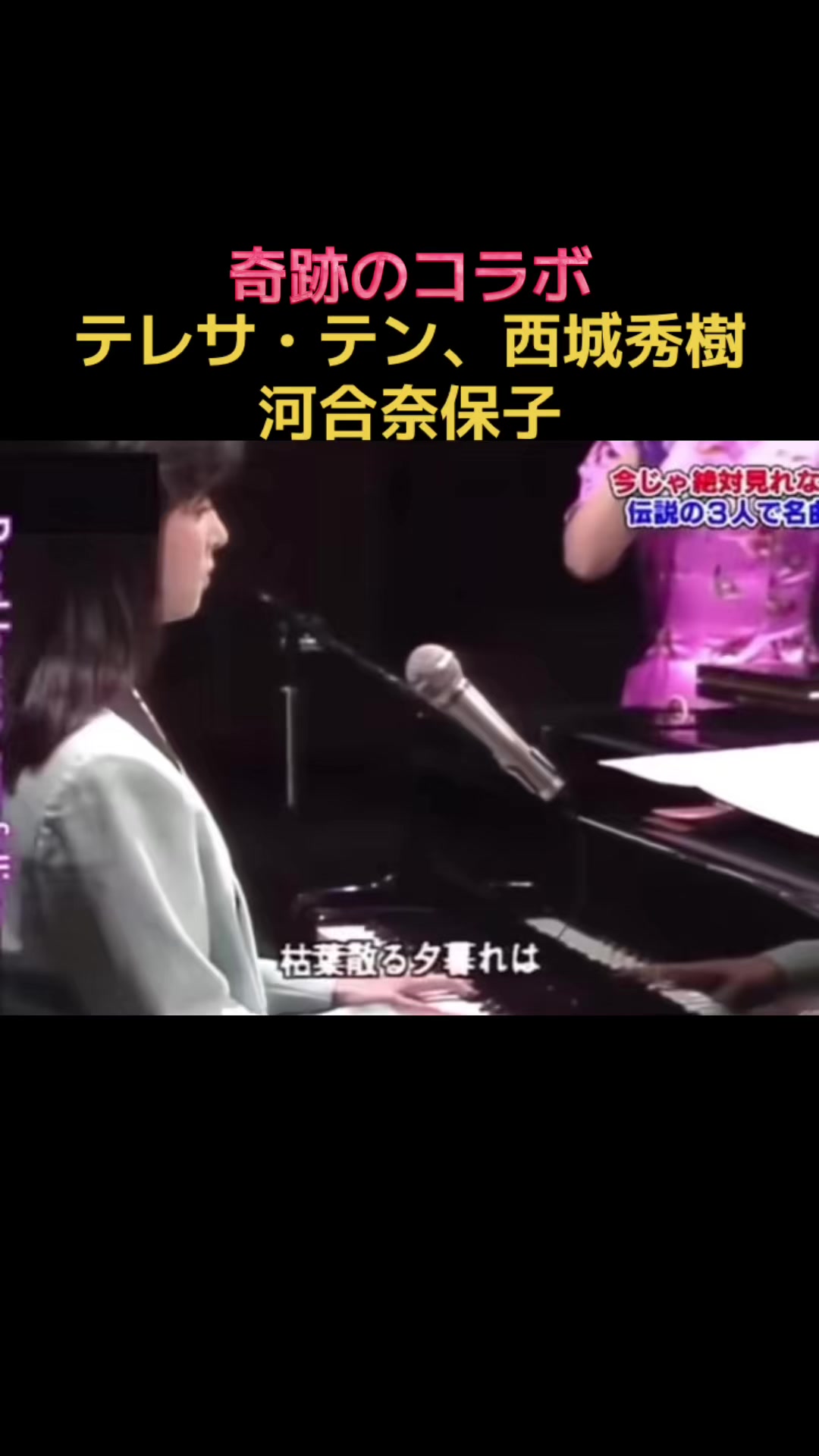 @木漏れ日